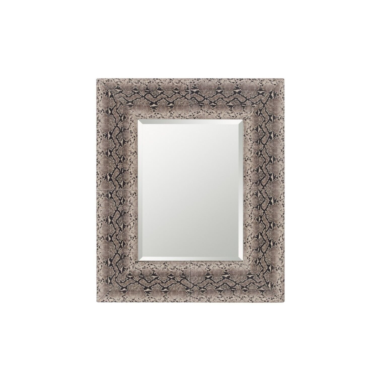 PYTHON MIRROR