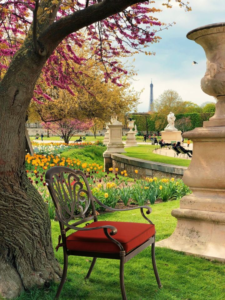 CHAIR WITH ARMS