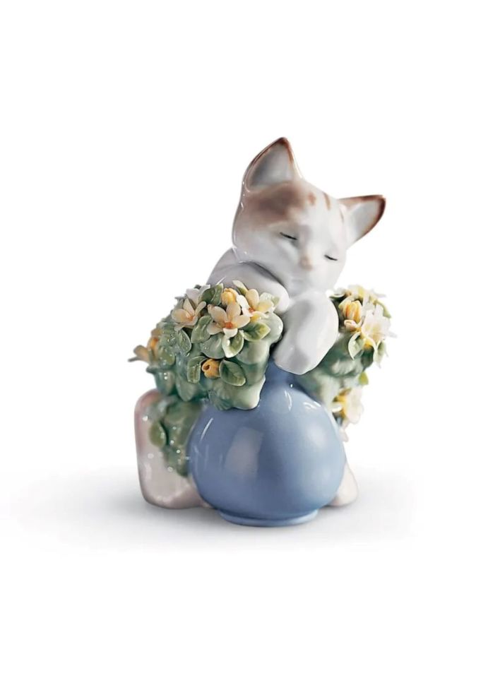 DREAMY KITTEN CAT