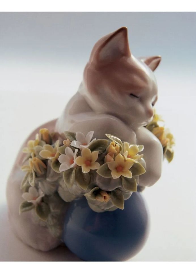 DREAMY KITTEN CAT