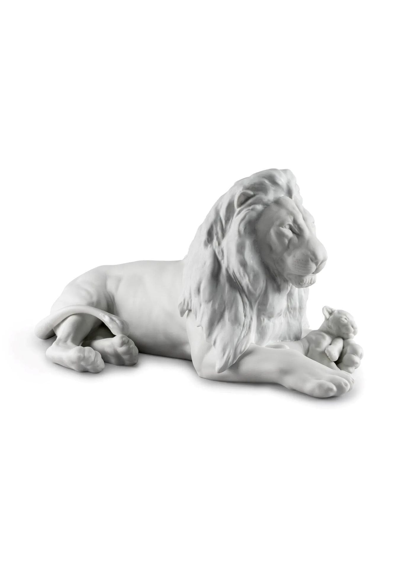 ASLAN VE YAVRUSU