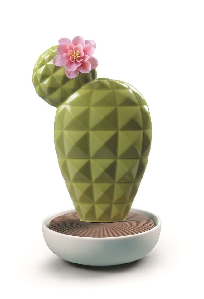 OPUNTIA KAKTÜS ODA KOKUSU
