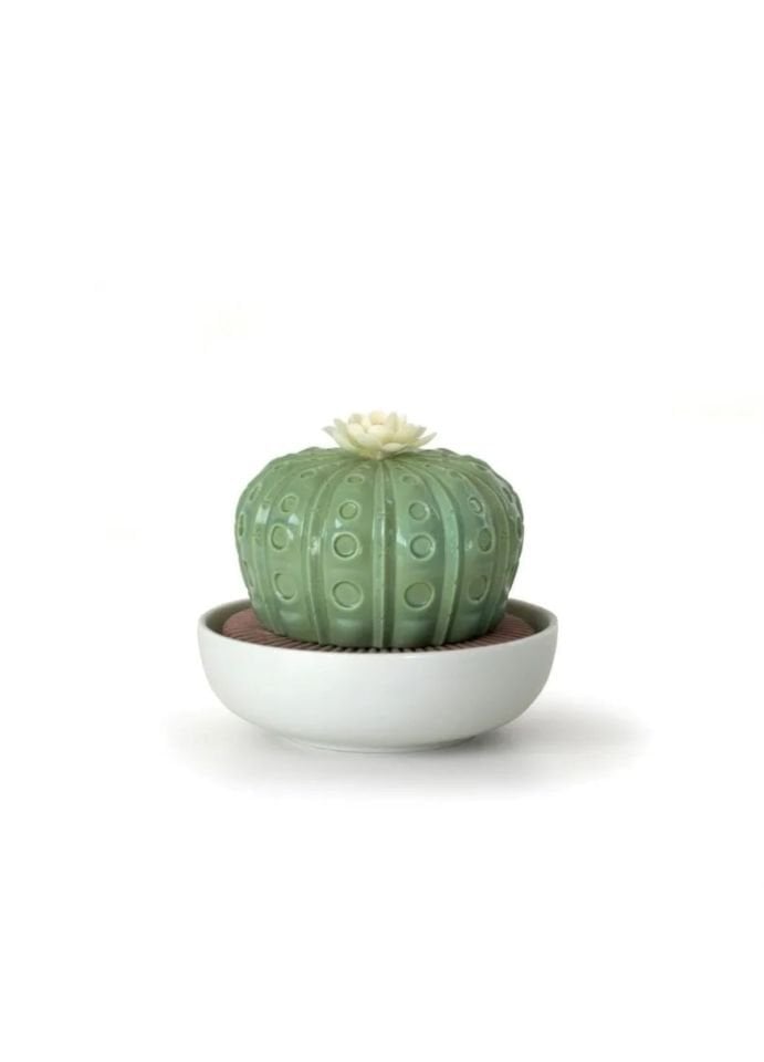 ASTROPHYTUM CACTUS DIFFUSER