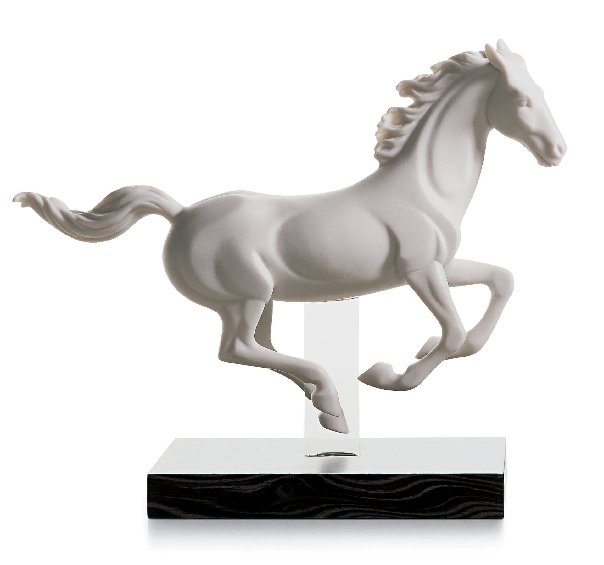 GALLOP I