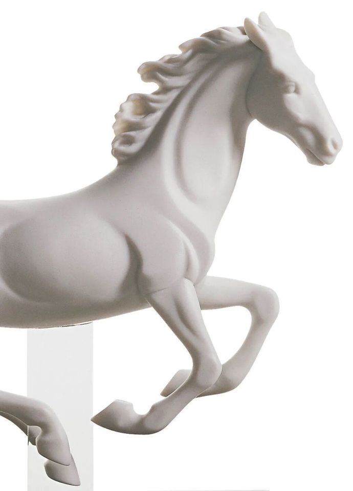 GALLOP I