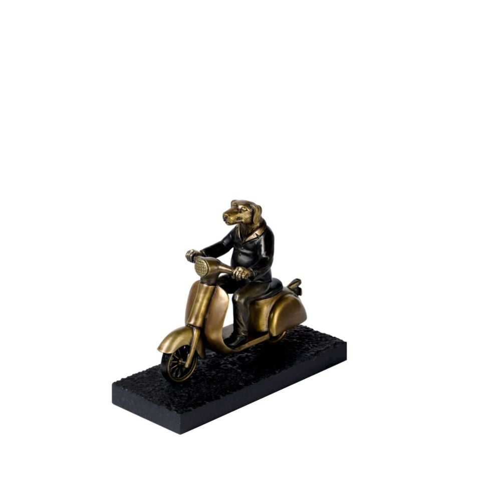 SKUTERDE BİR KÖPEK
