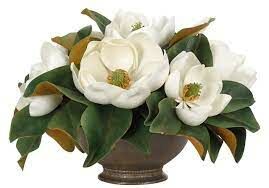 MAGNOLIA