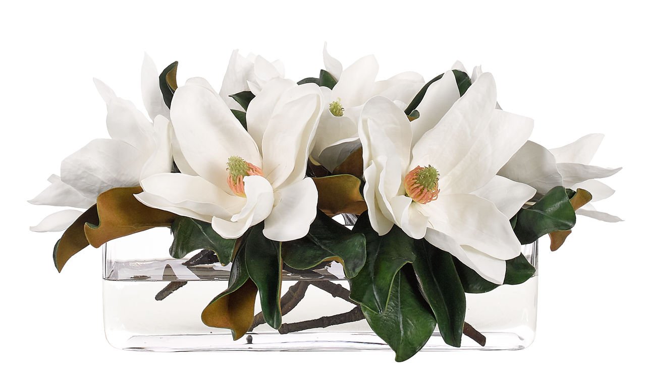 MAGNOLIA