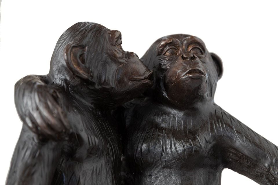 TREE MONKEYS SITTING ON A STUMP