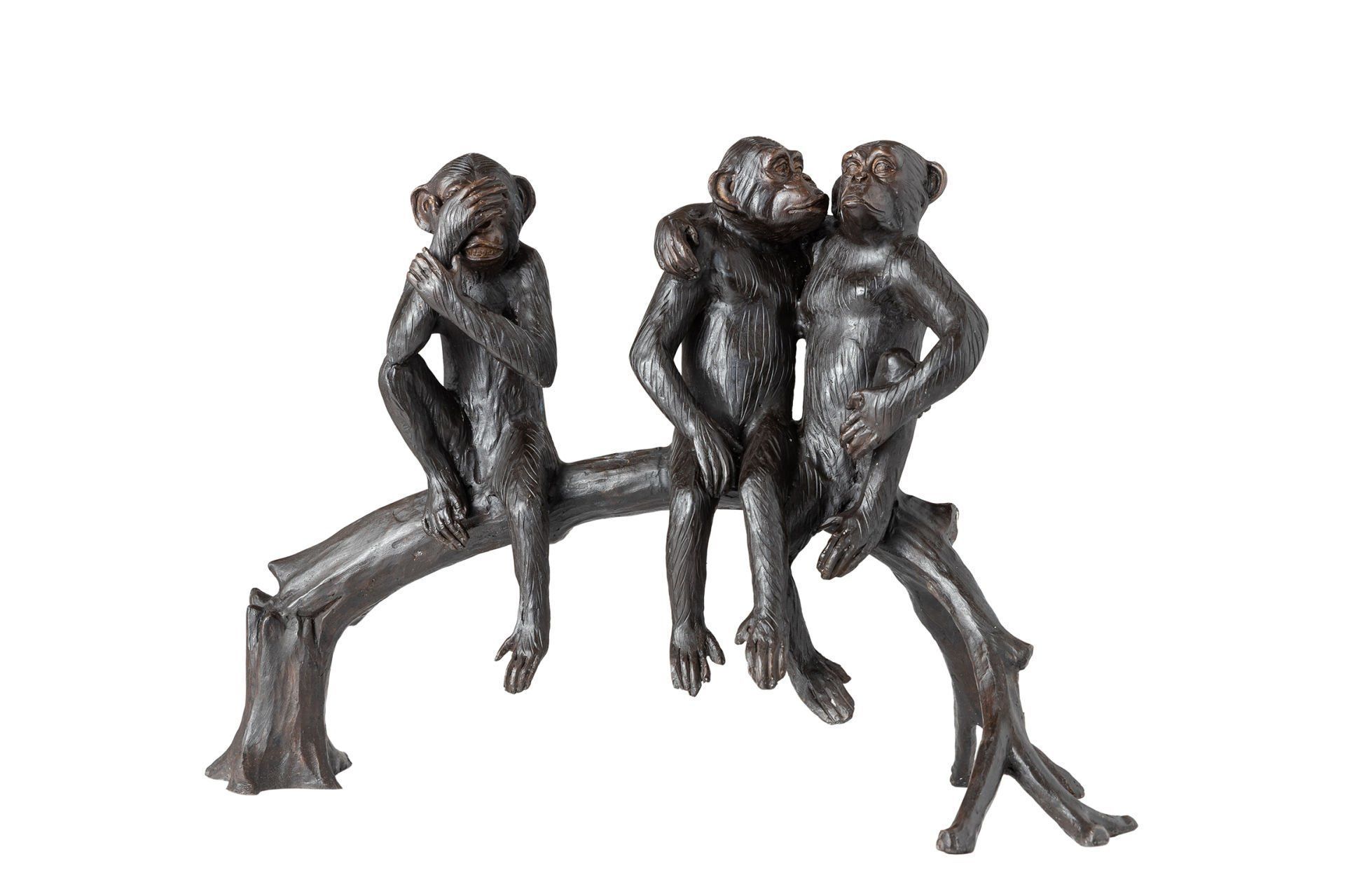 TREE MONKEYS SITTING ON A STUMP